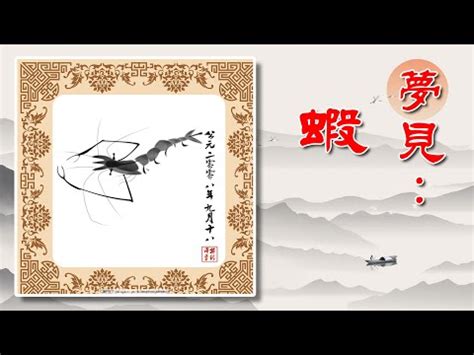 夢見蝦子號碼|夢見蝦子代表號碼